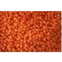 Red lentils